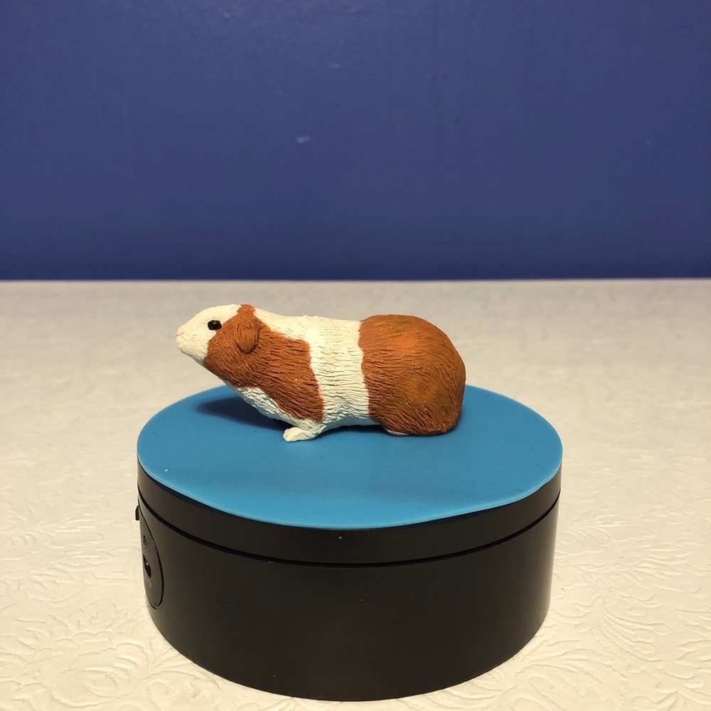 Here’s a cute polymer clay guinea pig 3 inches long.